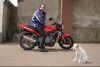 Vince uit Soest is geslaagd bij MotoJon Motorrijschool (foto 2)