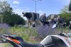 Jorn uit Vreeland is geslaagd bij MotoJon Motorrijschool