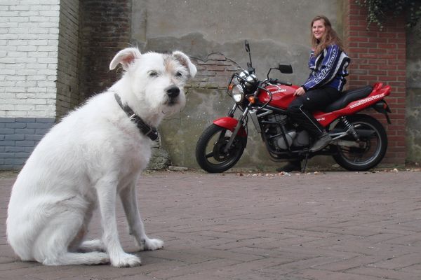 Eva uit Hilversum is geslaagd bij MotoJon Motorrijschool